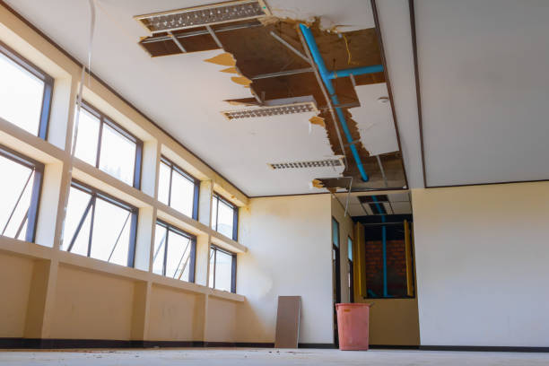 Best Water damage cleanup near me  in Portage Lakes, OH