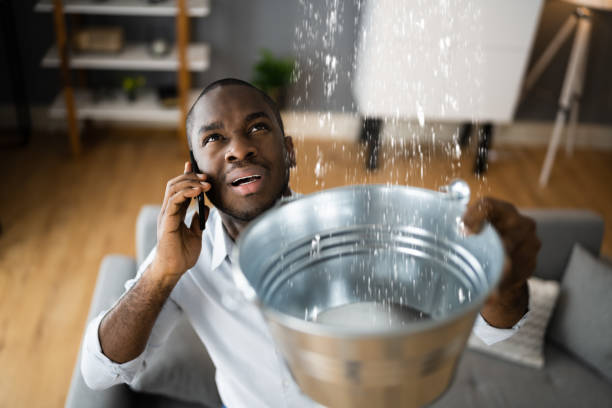 Best Basement water damage restoration  in Portage Lakes, OH