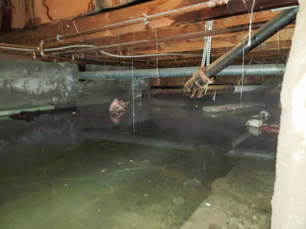  Portage Lakes, OH Water damage restoration Pros