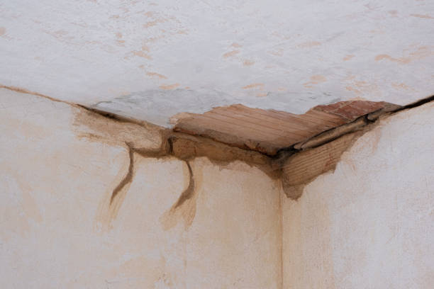 Best 24-hour water damage restoration  in Portage Lakes, OH