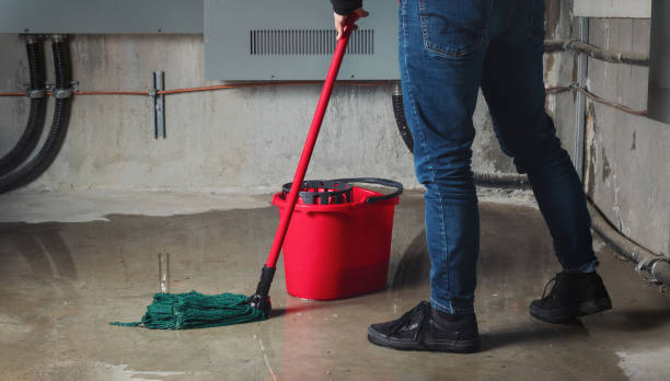 Best Water damage restoration process  in Portage Lakes, OH