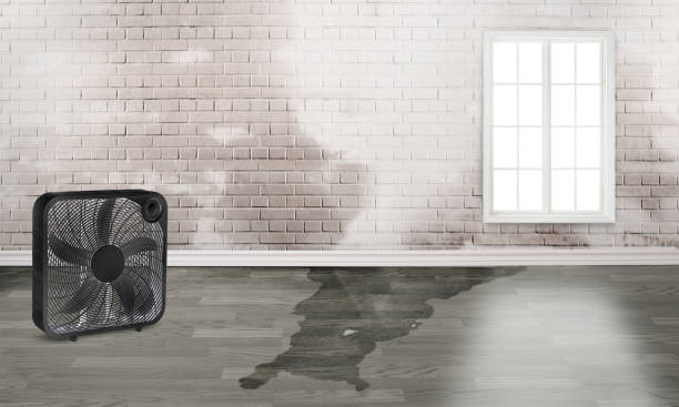 Best Flood damage cleanup  in Portage Lakes, OH