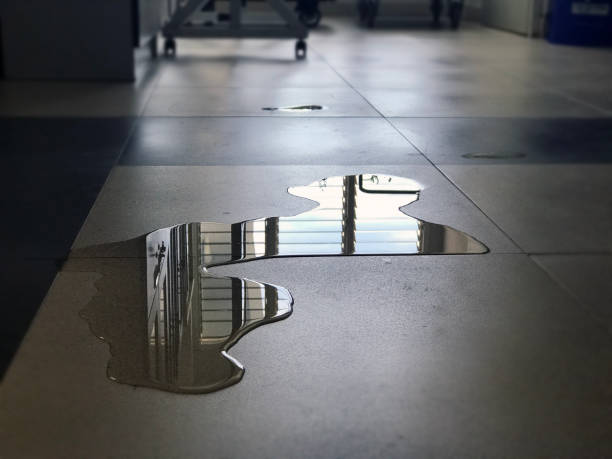 Best Water damage repair service  in Portage Lakes, OH