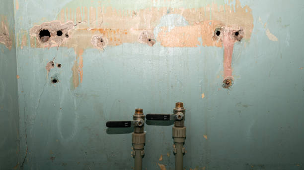 Best Water damage restoration cost  in Portage Lakes, OH